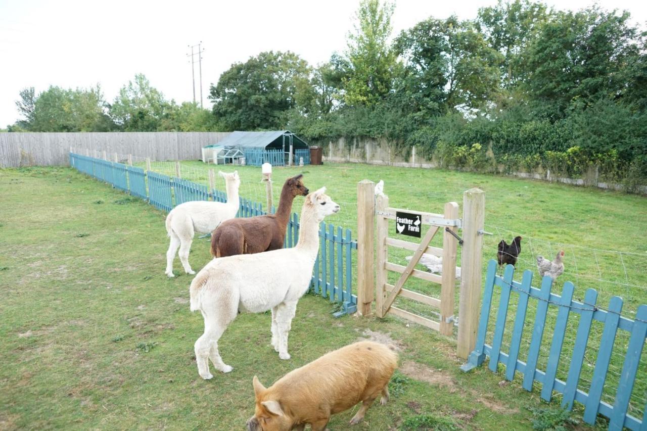 Alpaca Lodge Sittingbourne Buitenkant foto